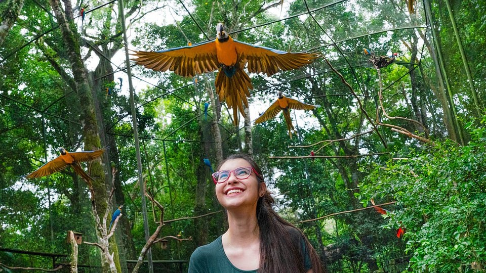 Parque das Aves: Mágica e Natureza!
